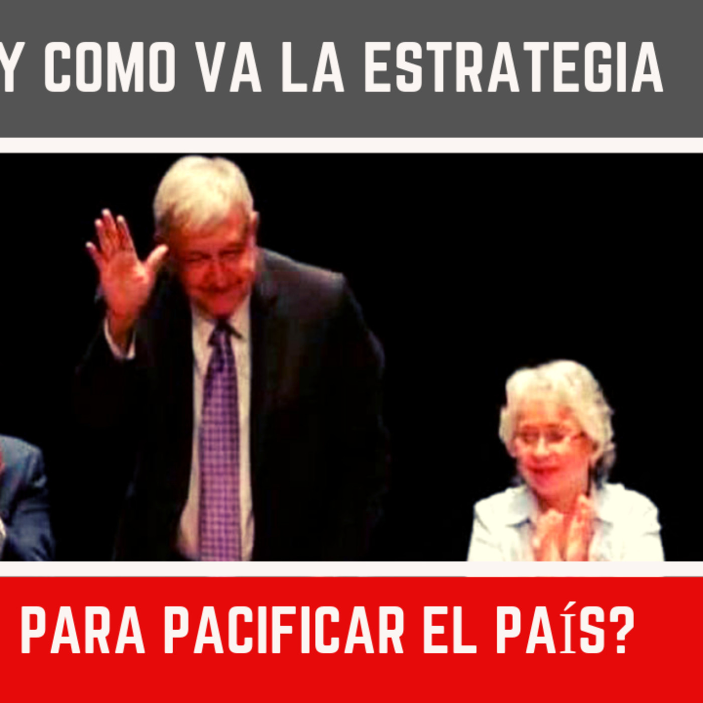 Me Canso Ganso MX