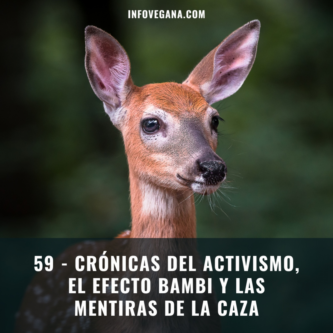 Infovegana, podcast de veganismo y sostenibilidad