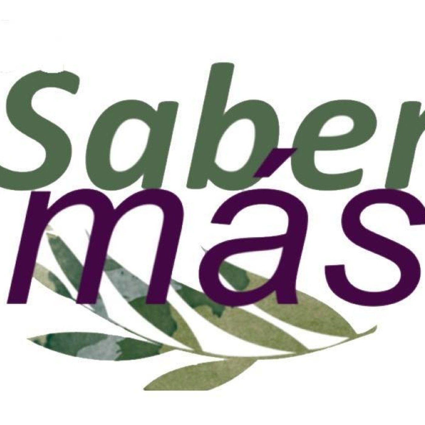 Saber Mas
