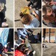 RecomendaciÓns lectoras 6º comunica