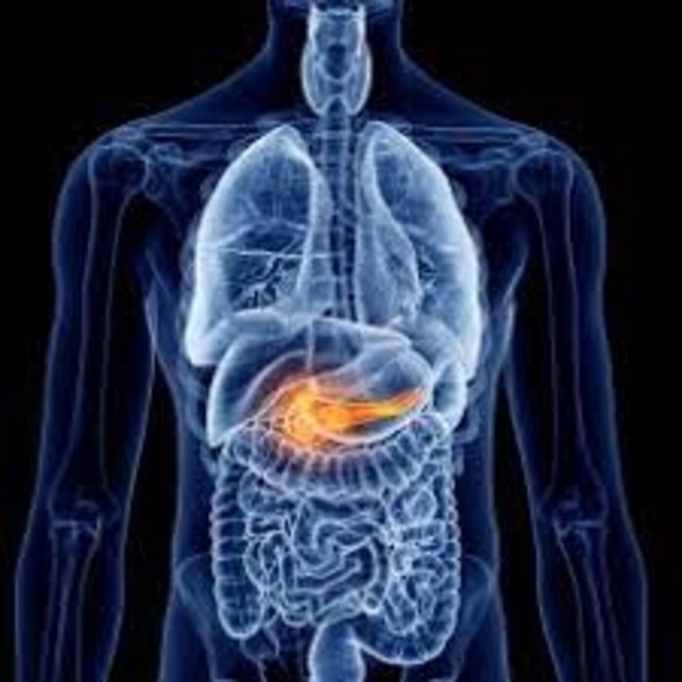 Pancreatitis: qué es, cómo se produce y qué factores la desencadenan. episode artwork