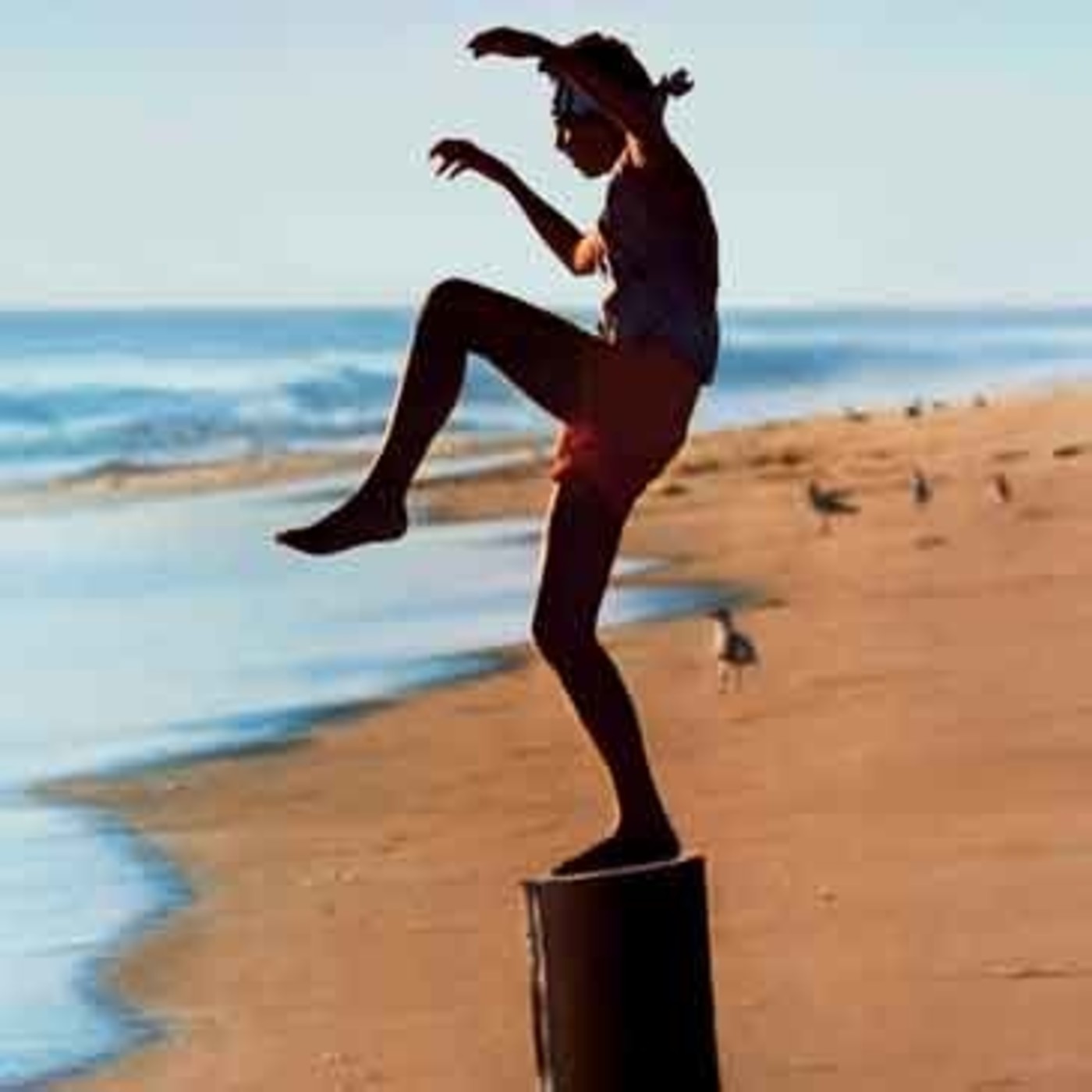 Dragonz | Artes Marciales y Deportes de Contacto