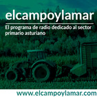 El Campo y la Mar Cap. 12