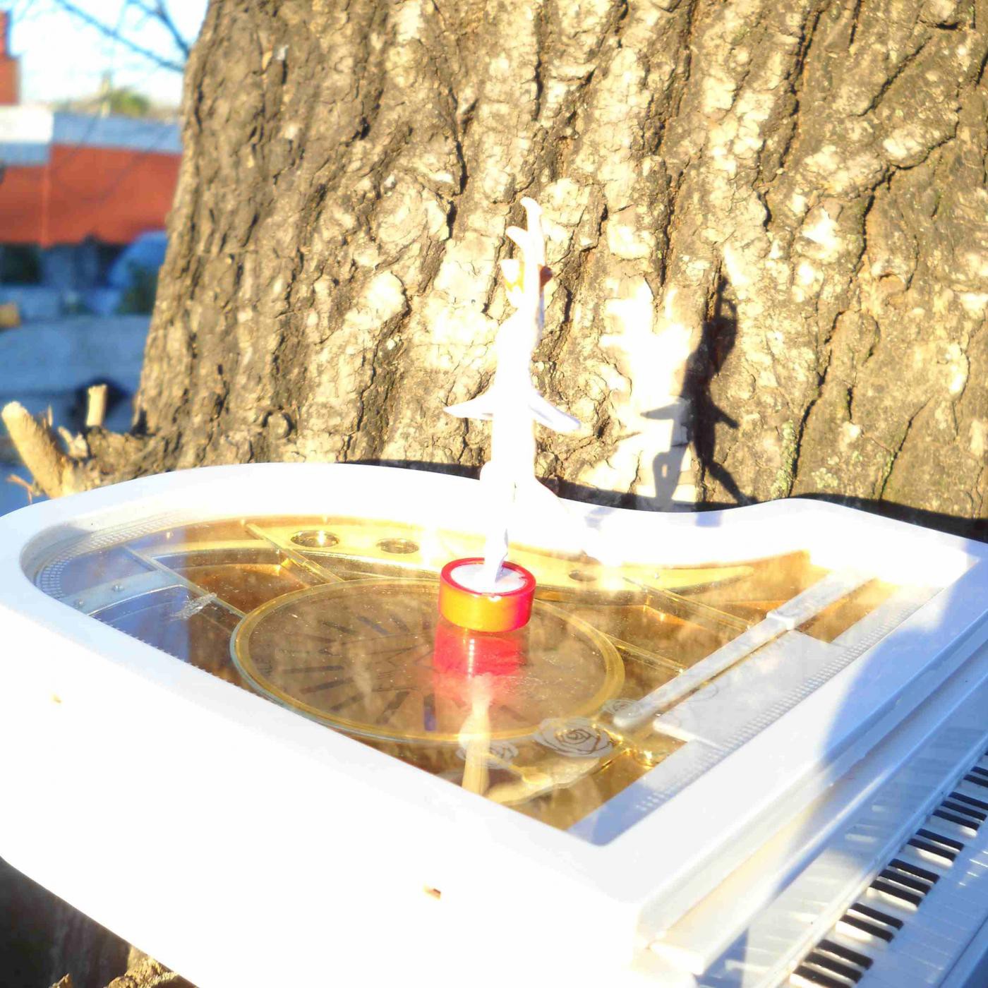 El mundo desde el jardín - Radio.