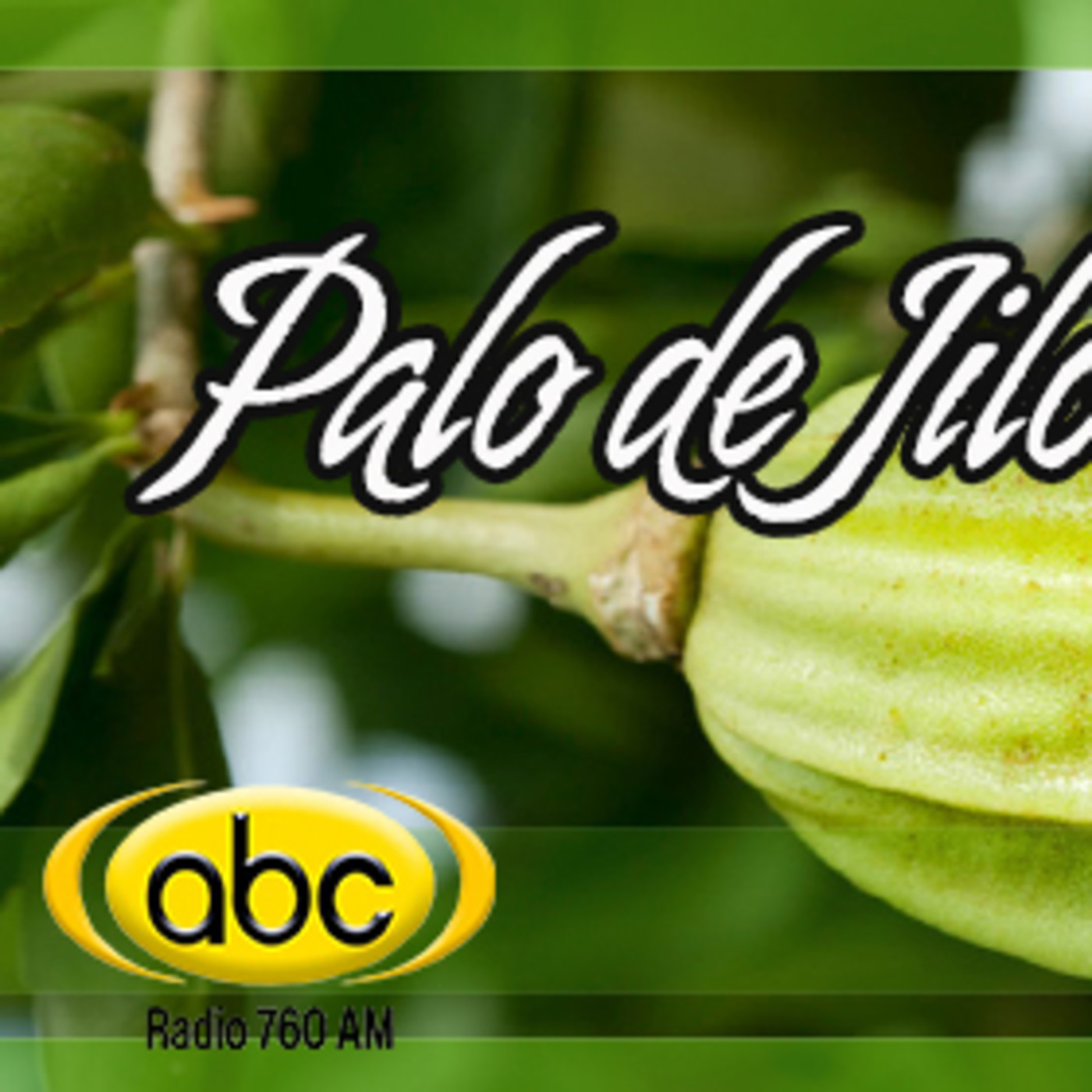 El Ángel de tu Salud - PALO DE JILOTE episode artwork