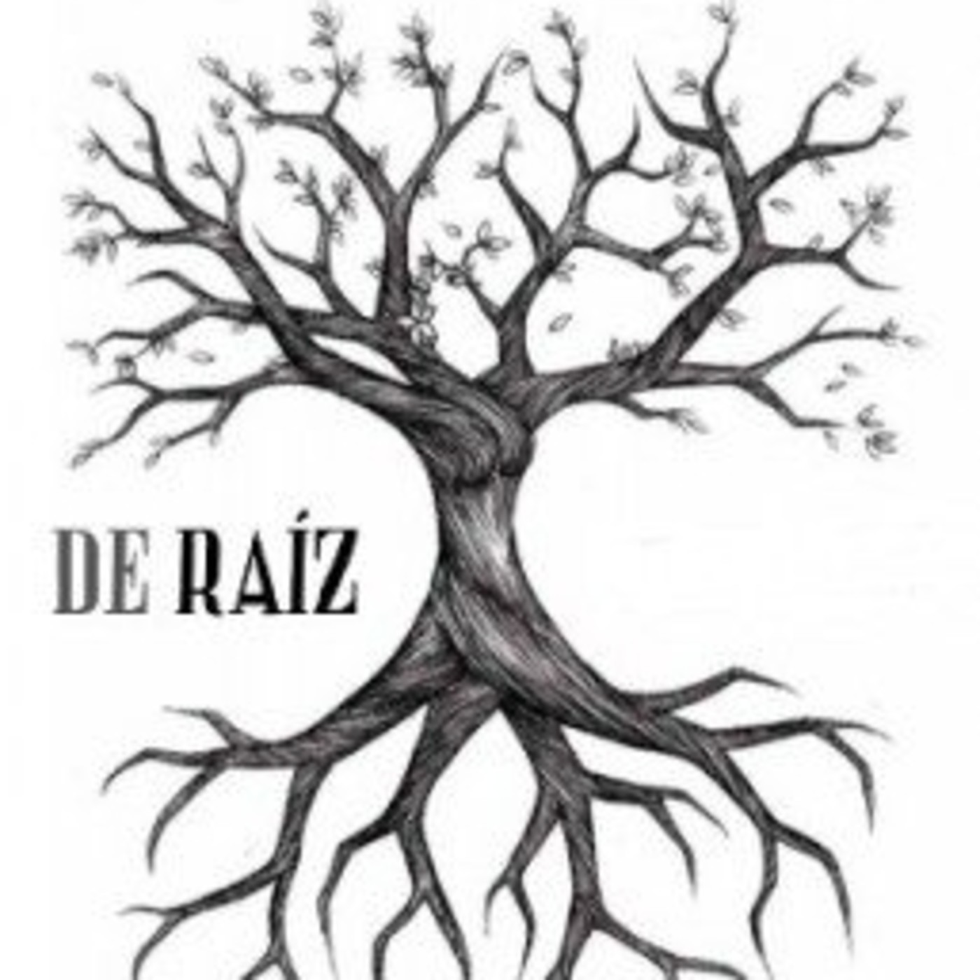 De Raíz Radio