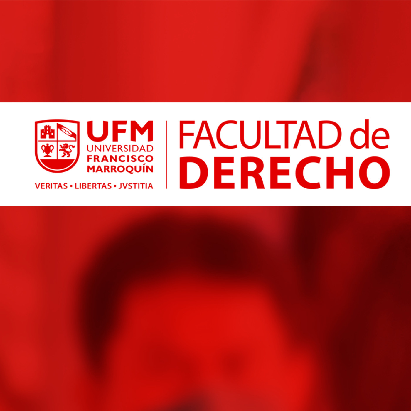 La libertad, el Estado de Derecho y los derechos humanos en época de pandemia