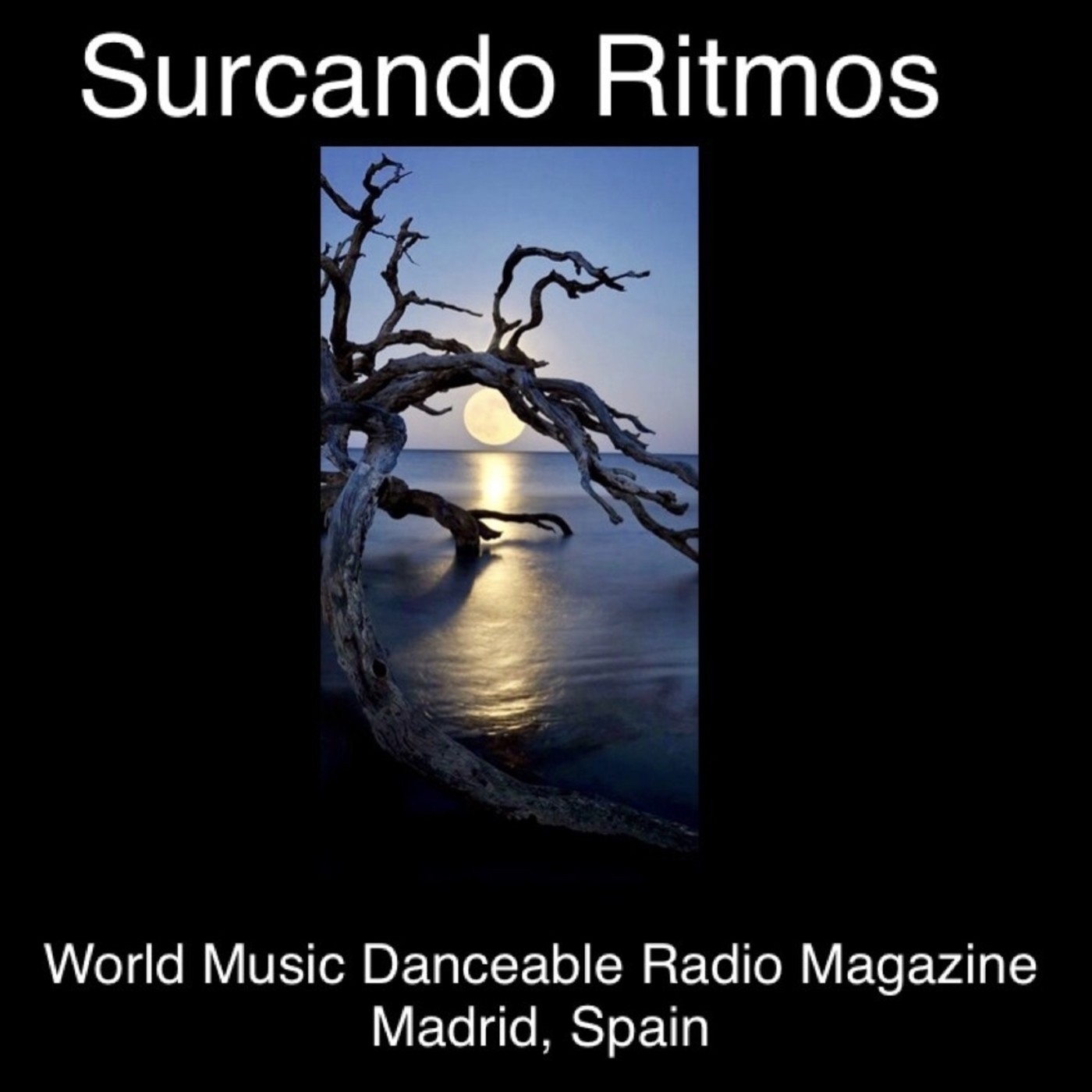 Surcando Ritmos