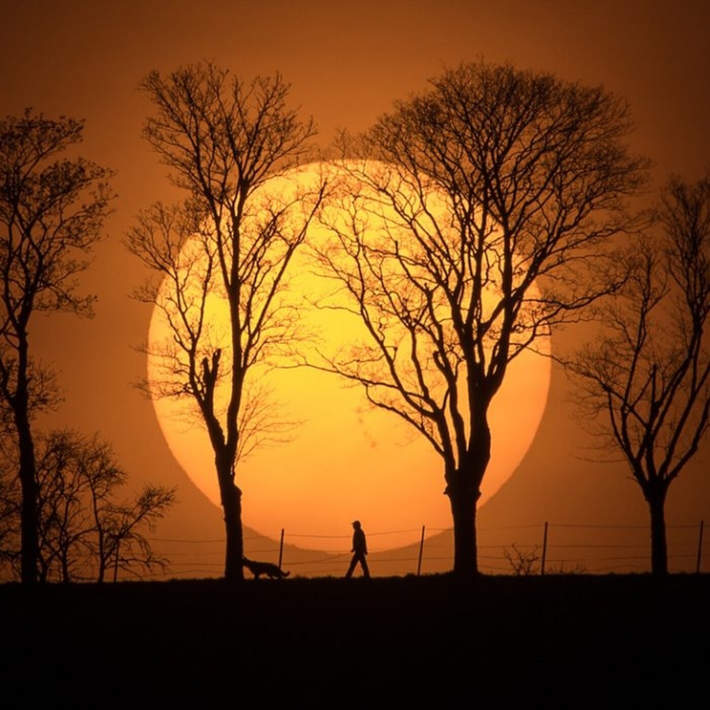 El sol y el Hombre #ciencia #universo #podcast episode artwork
