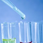 La microbiota