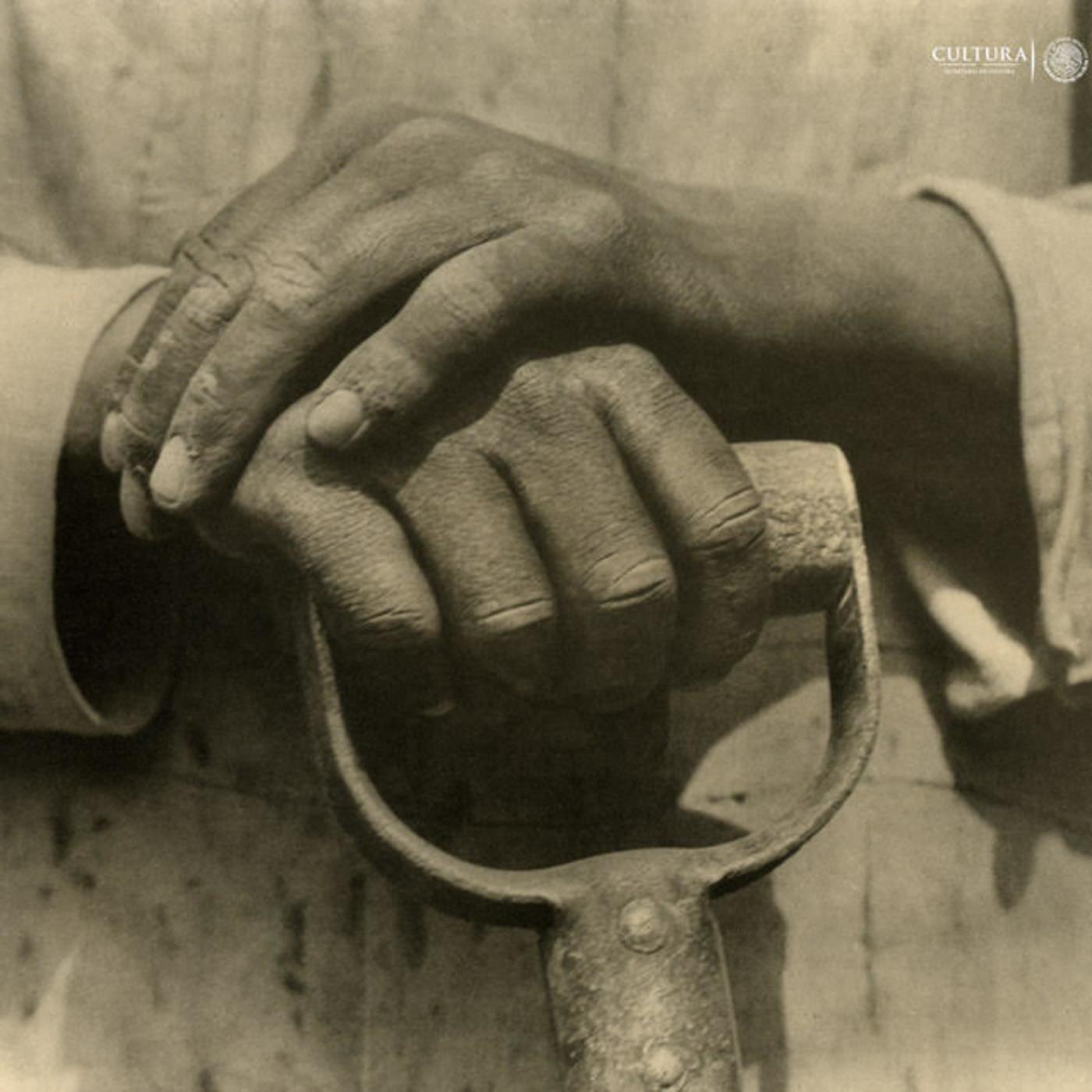 Podcast de InFocusRadio