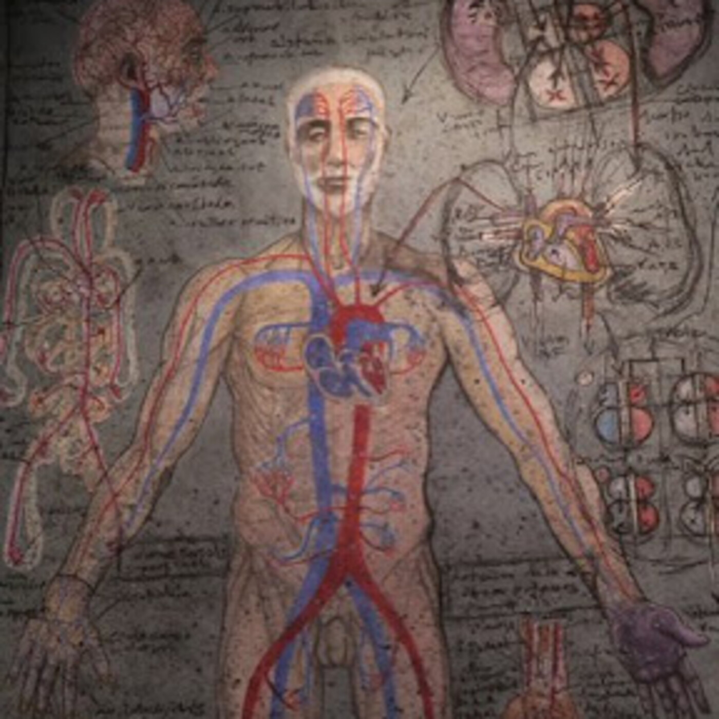 'Encara tenim poc coneixement en general de com és el nostre cos' episode artwork