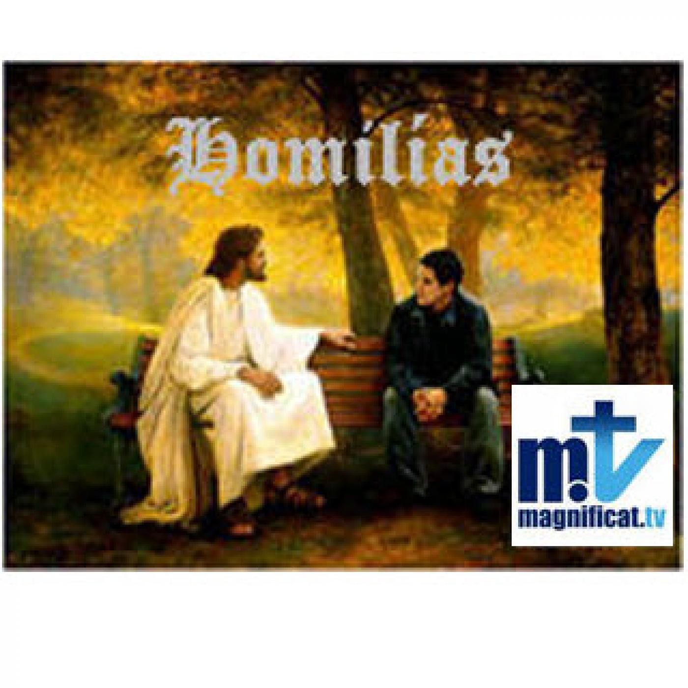 Homilia del sábado 30/4/2016. P. Michaell Duarte FM