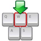 embed image