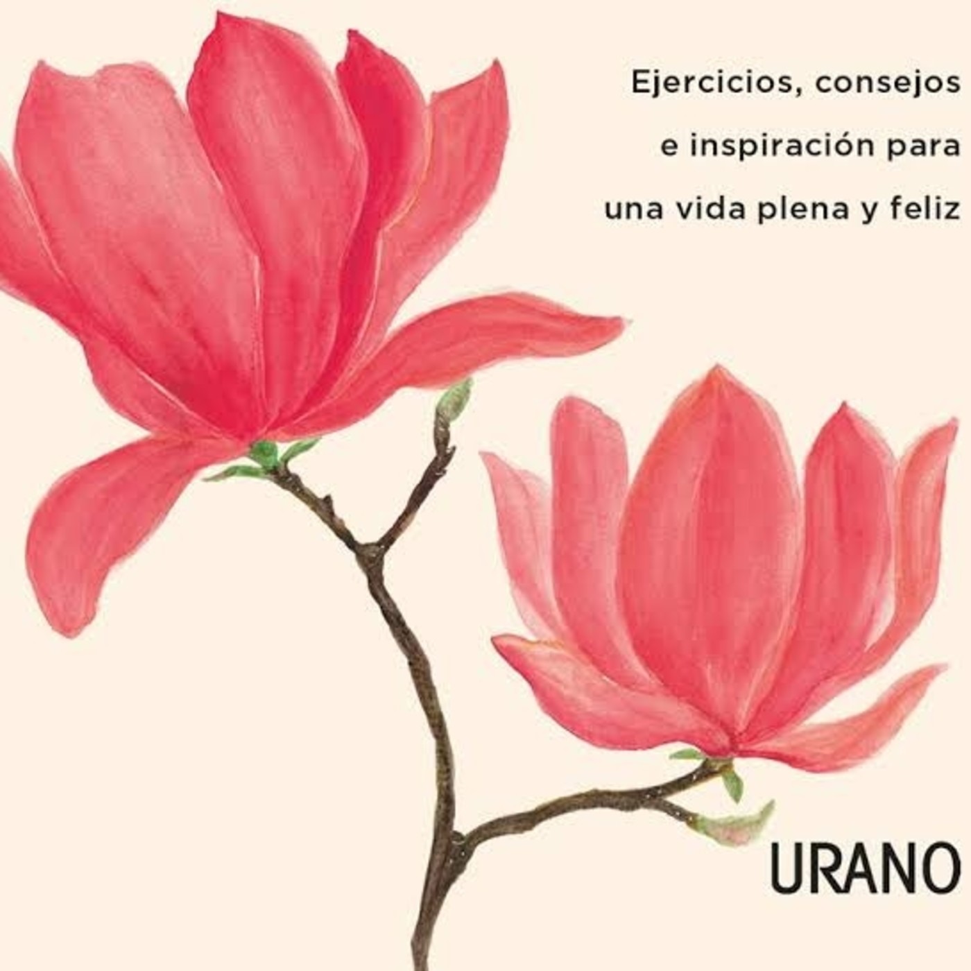 EJERCICIOS PRACTICOS PARA ENCONTRAR TU IKIGAI.