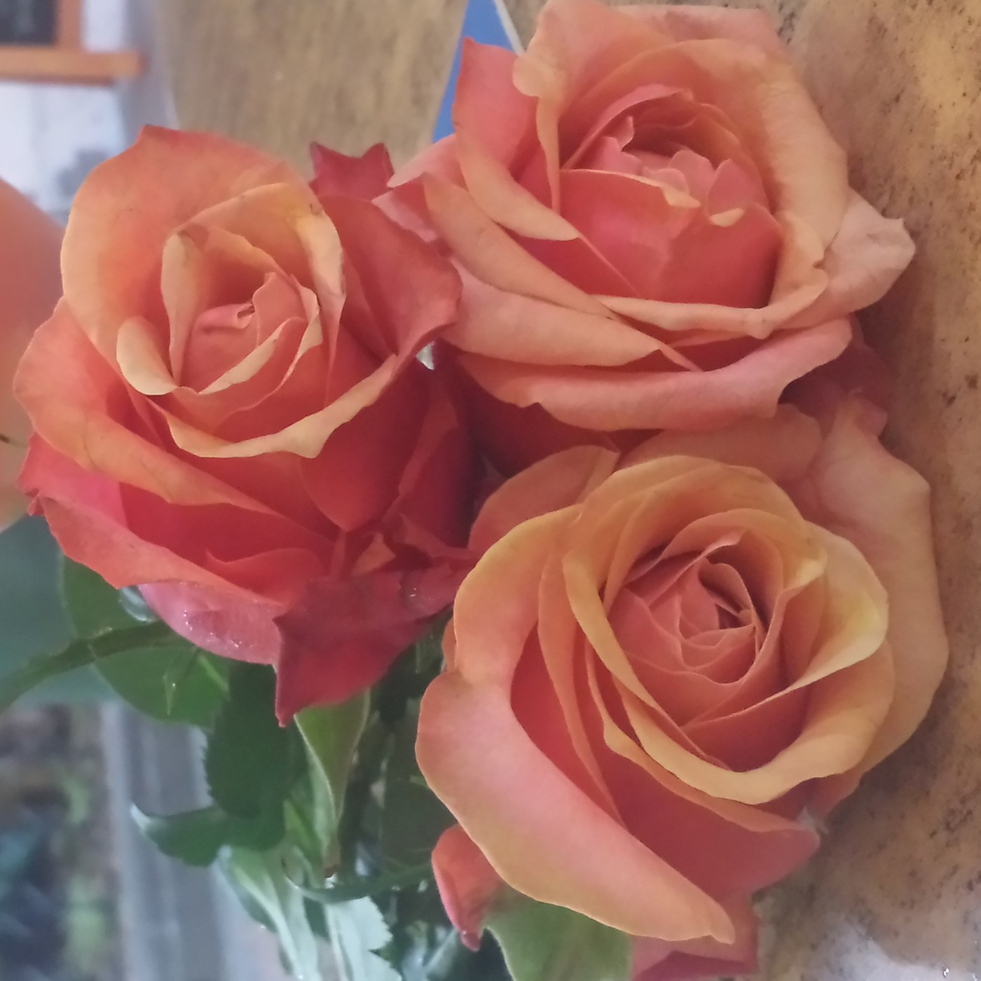 Nuestra Mente es Maravillosa