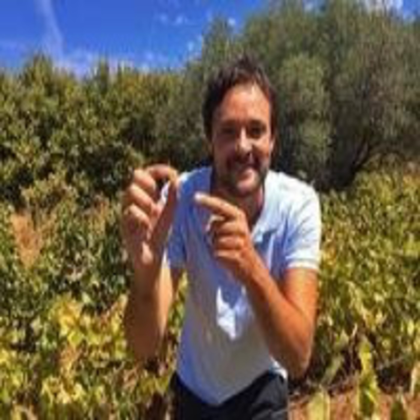 Bodegas Robles