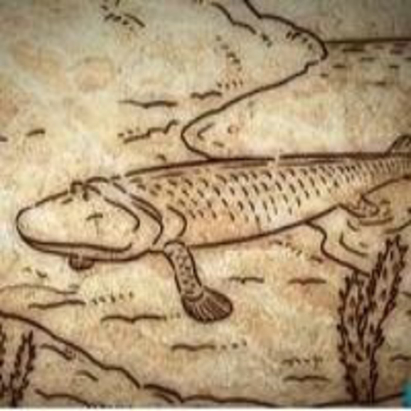 Historia de la vida: La llegada a la tierra episode artwork