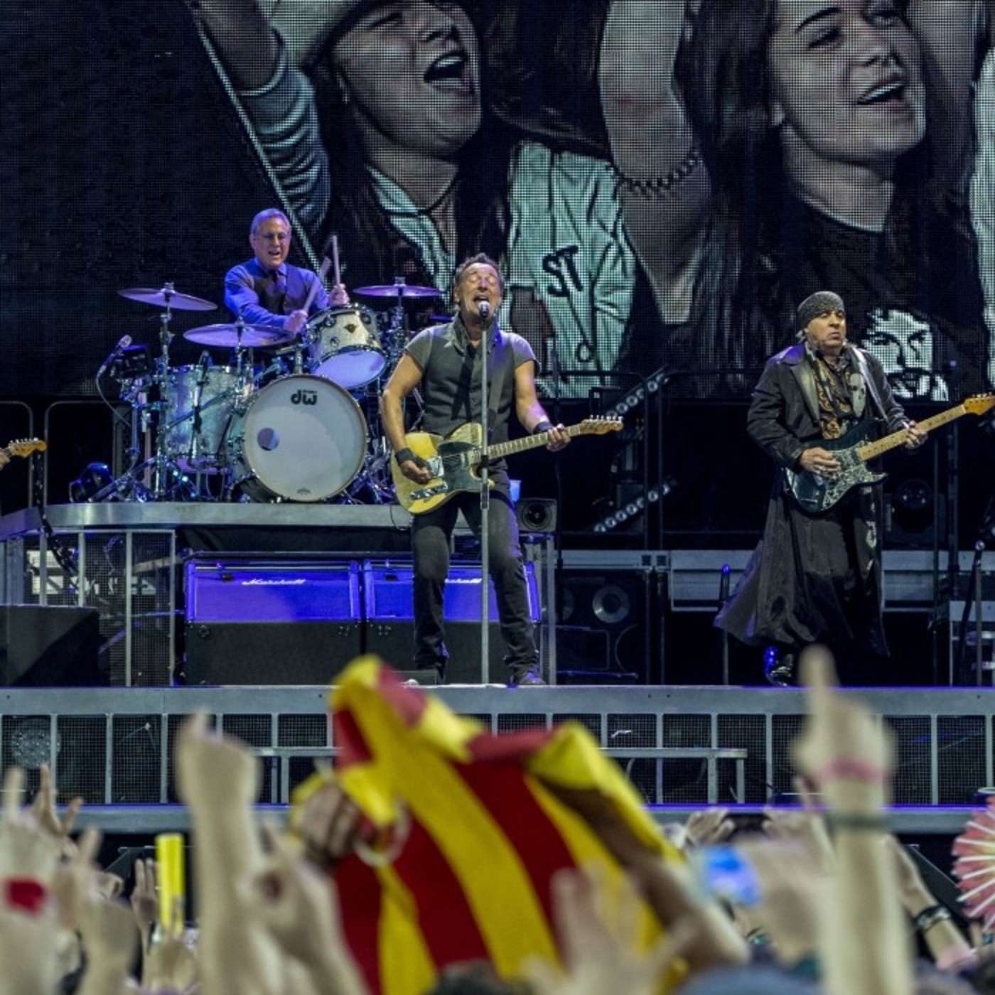 Els Fans de Bruce Springsteen