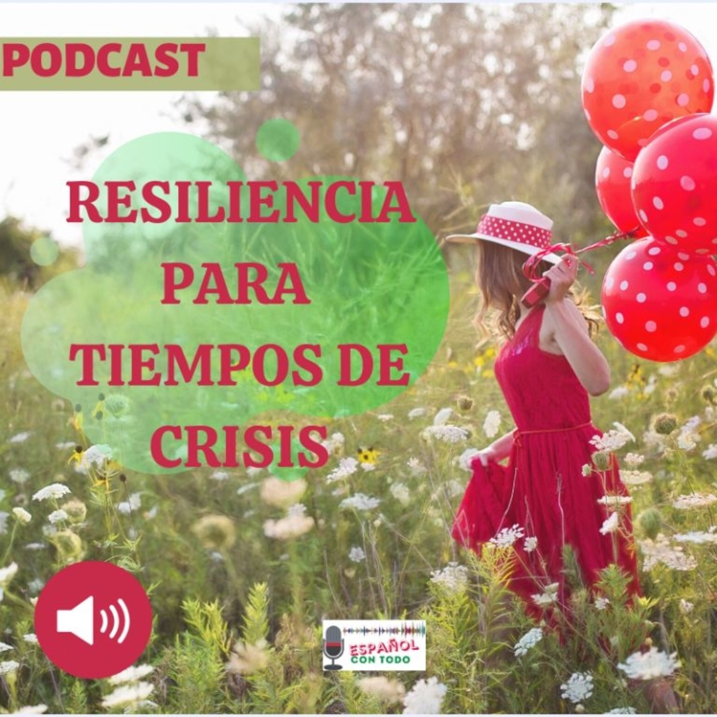 017 - Resiliencia en tiempos de crisis