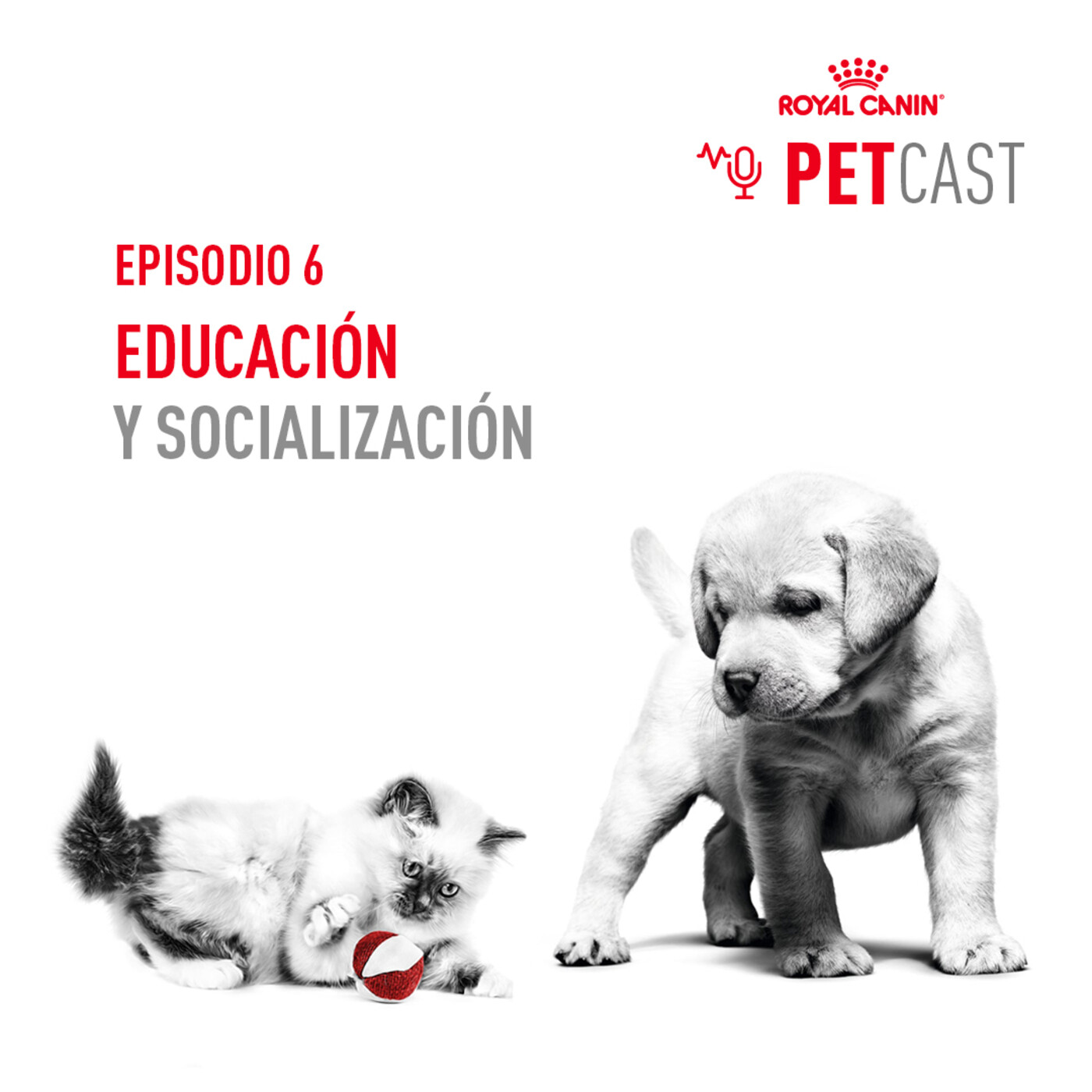 ROYAL CANIN PETCASTS ESPAÑA