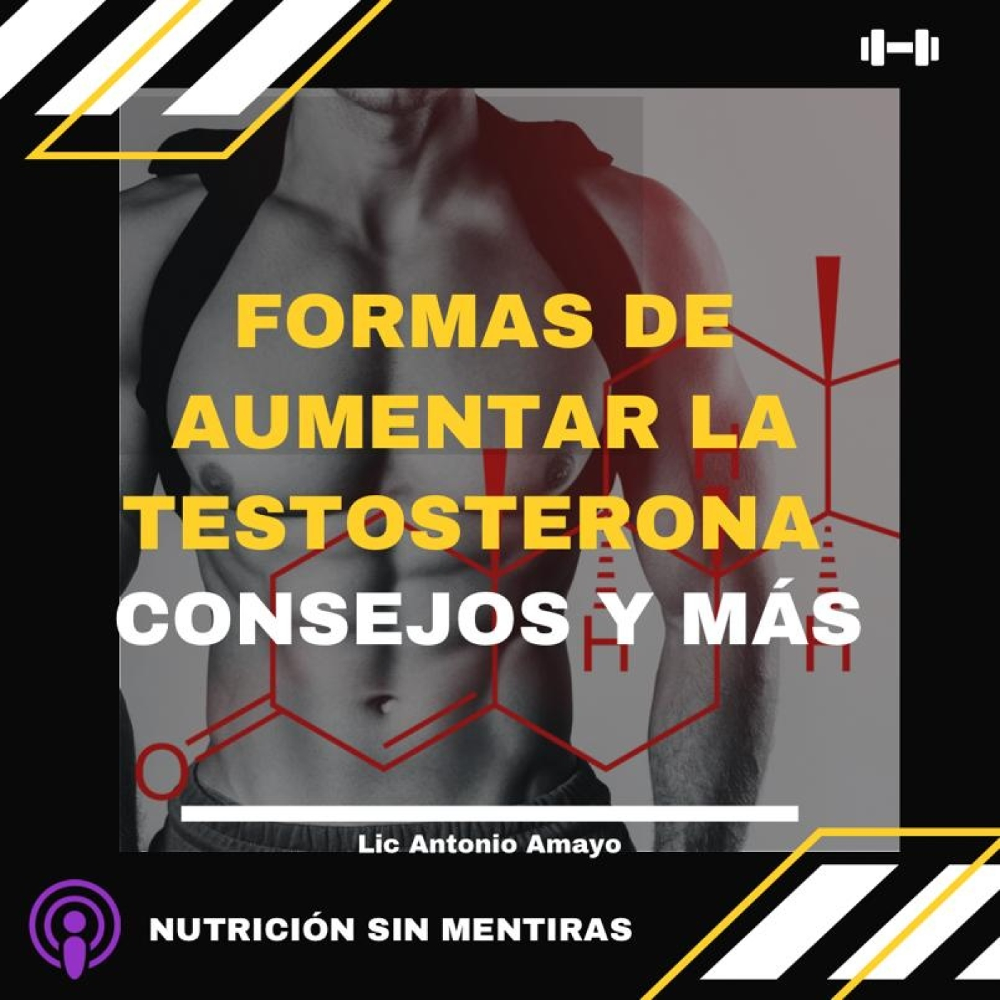 NUTRICION SIN MENTIRAS