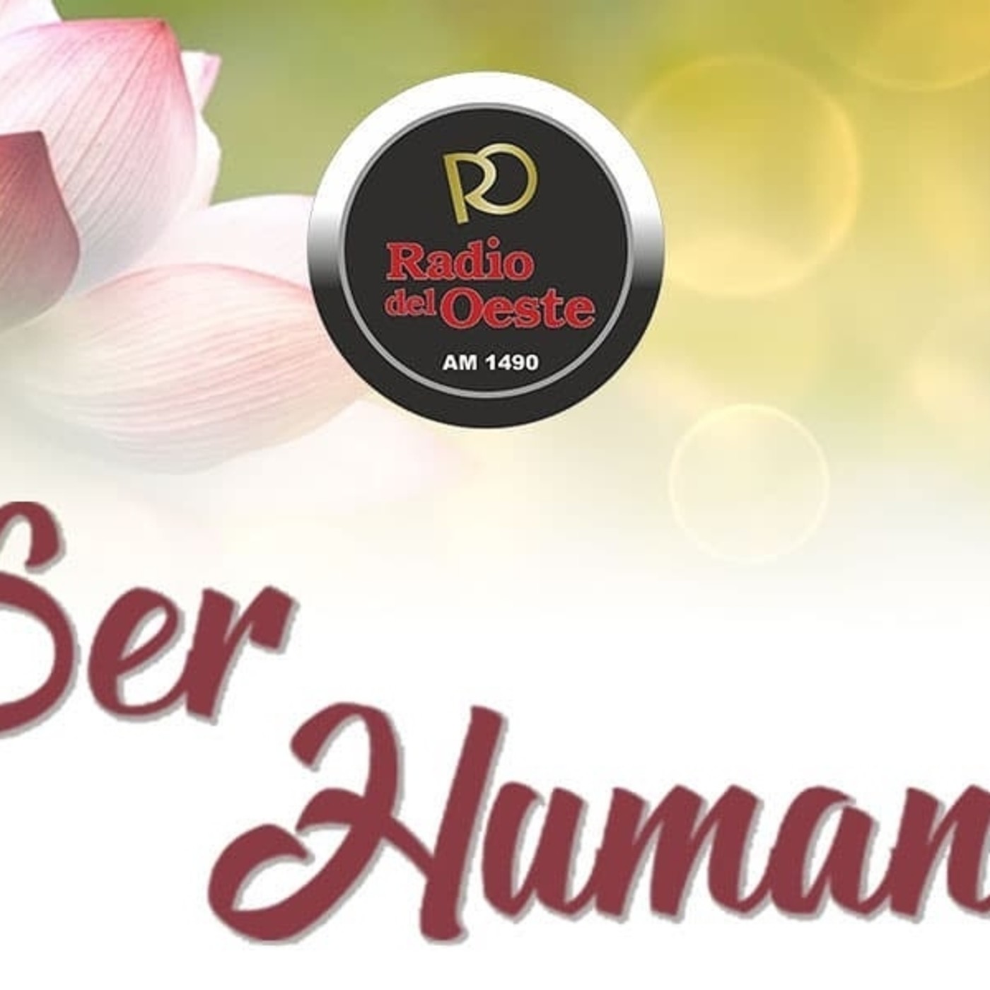 escueladereikiamanecer