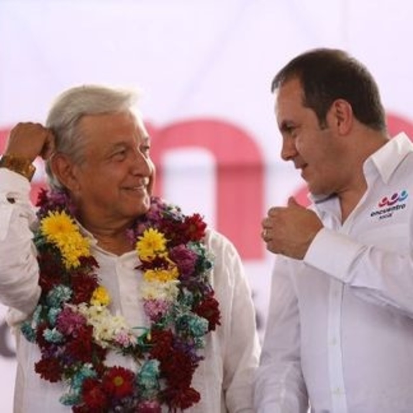Desde la raíz