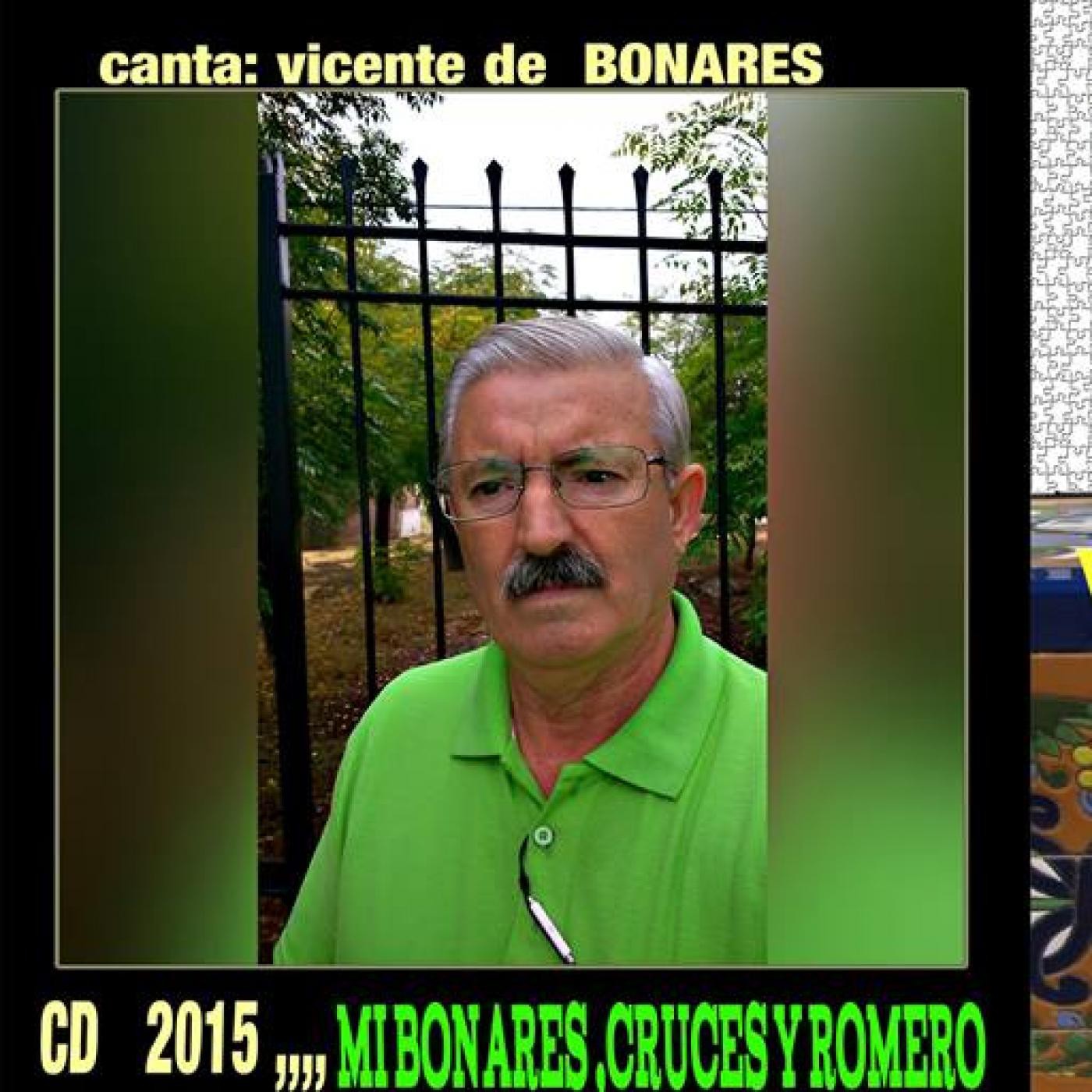 http://www.facebook.com/vicentedebonares