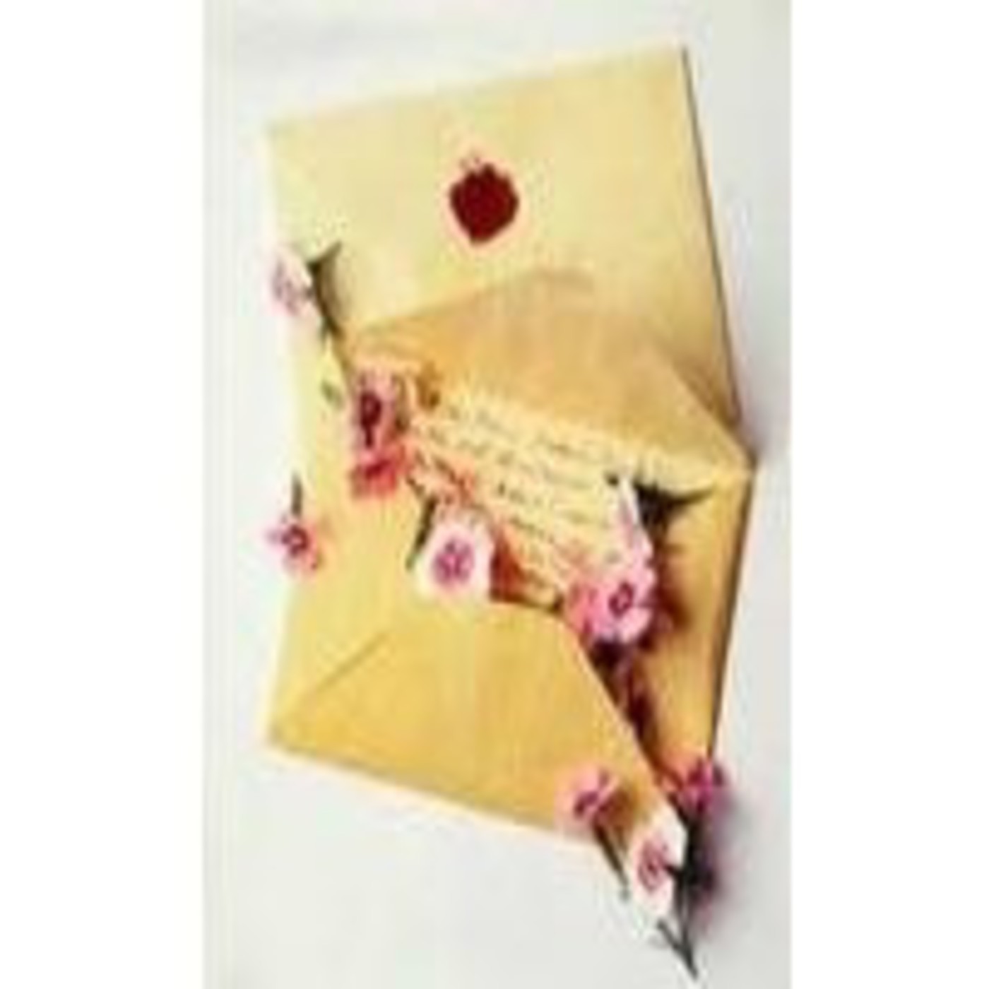Las más bellas cartas de amor (3de4)