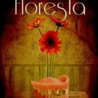Maria Calmels- Floresta