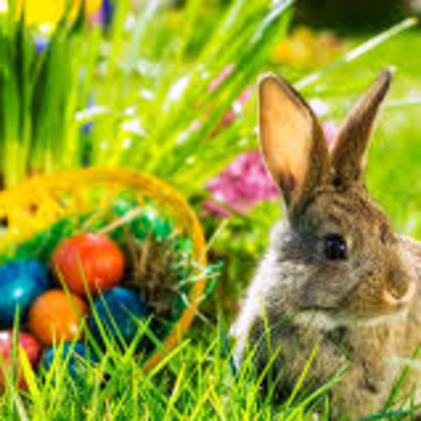 Tradicions Vila-real