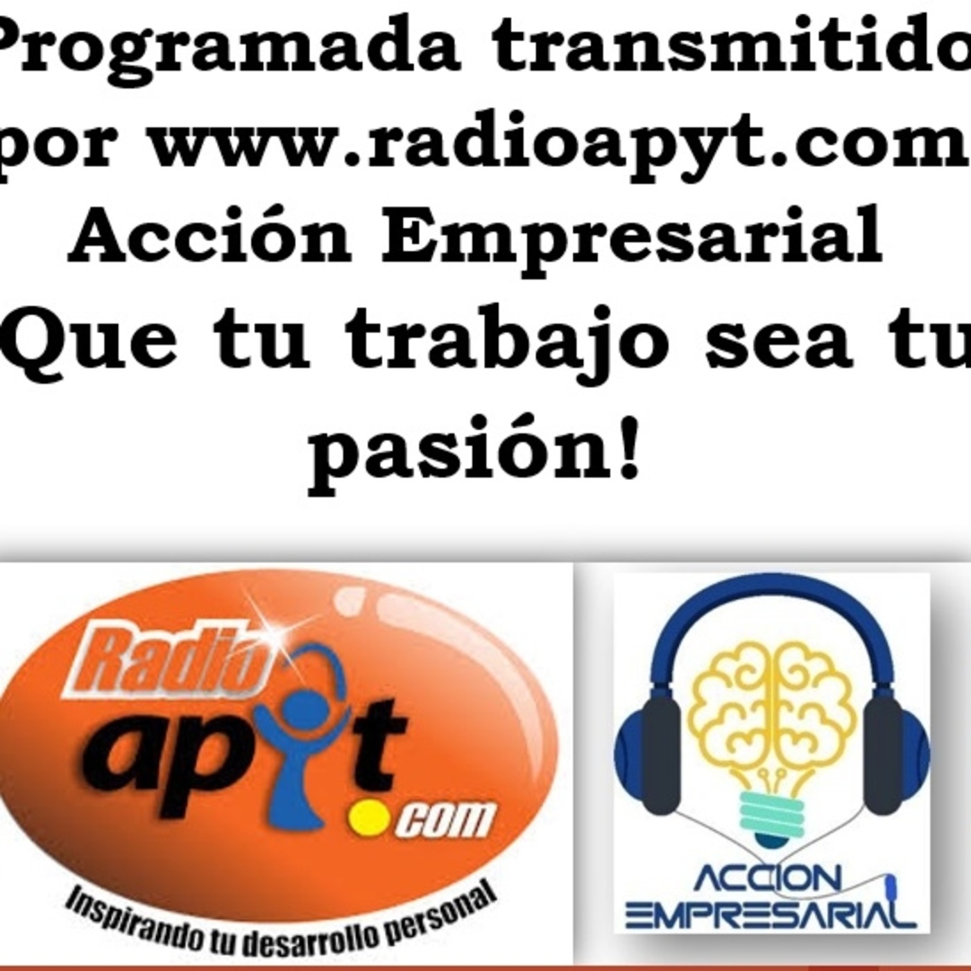 Axn Empresarial