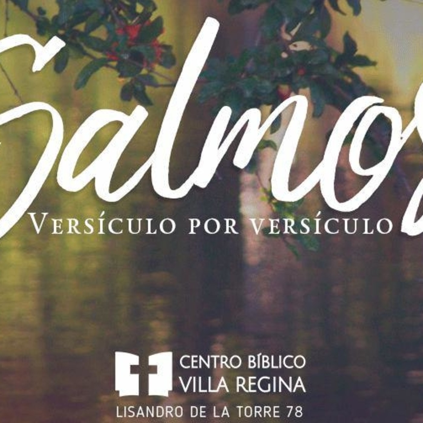 Salmos, versículo por versículo