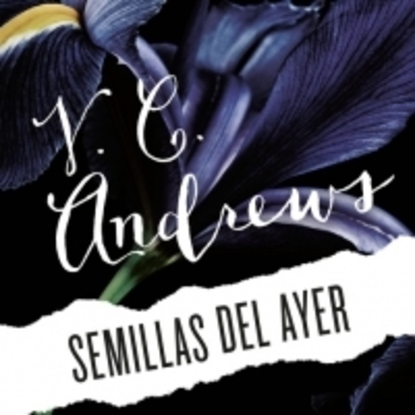 SEMILLAS DEL AYER