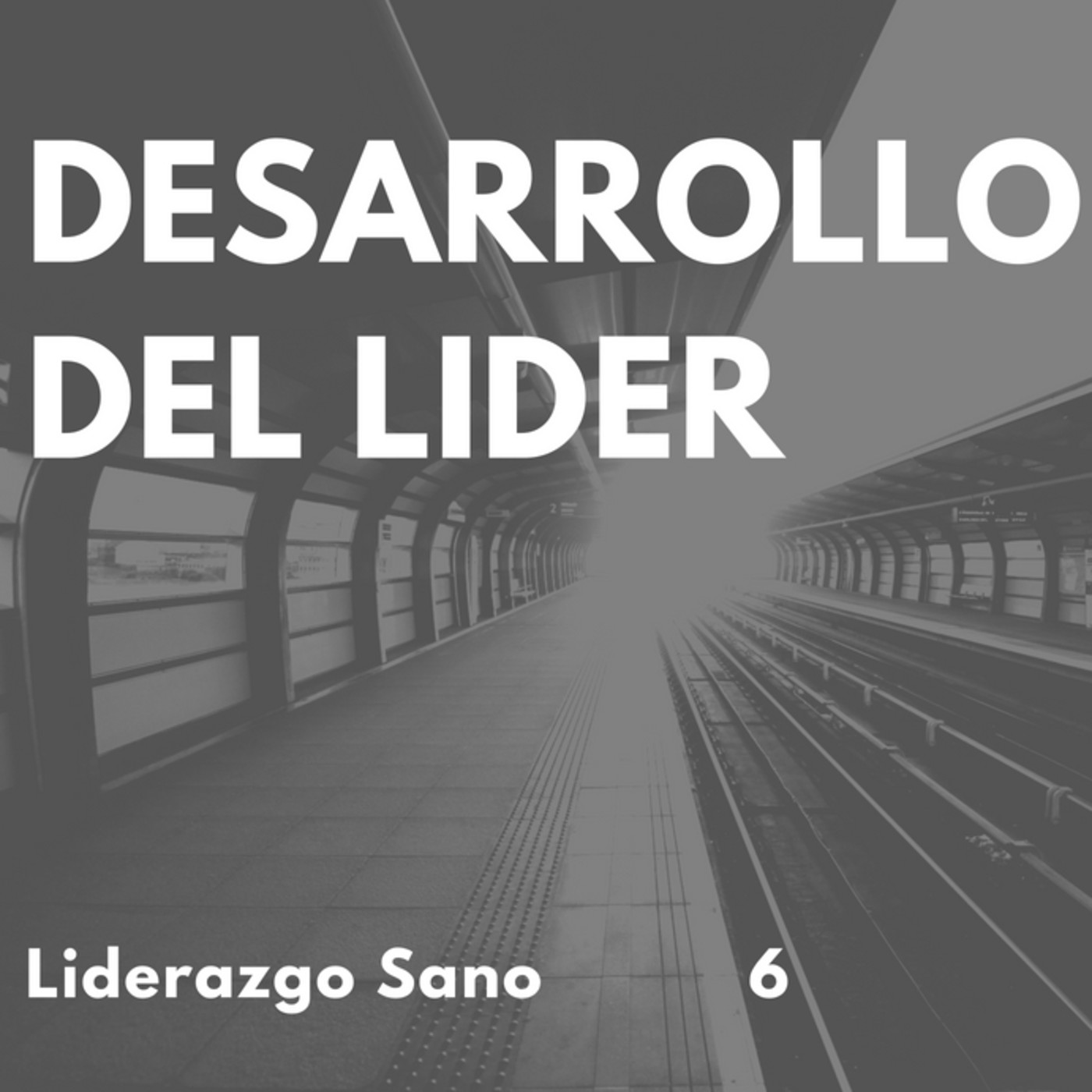 Liderazgo Sano