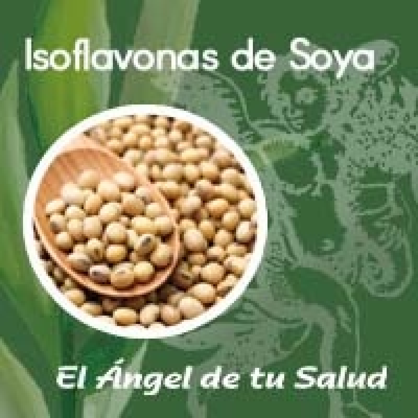 El Ángel de tu Salud - Isoflavonas de Soya** episode artwork