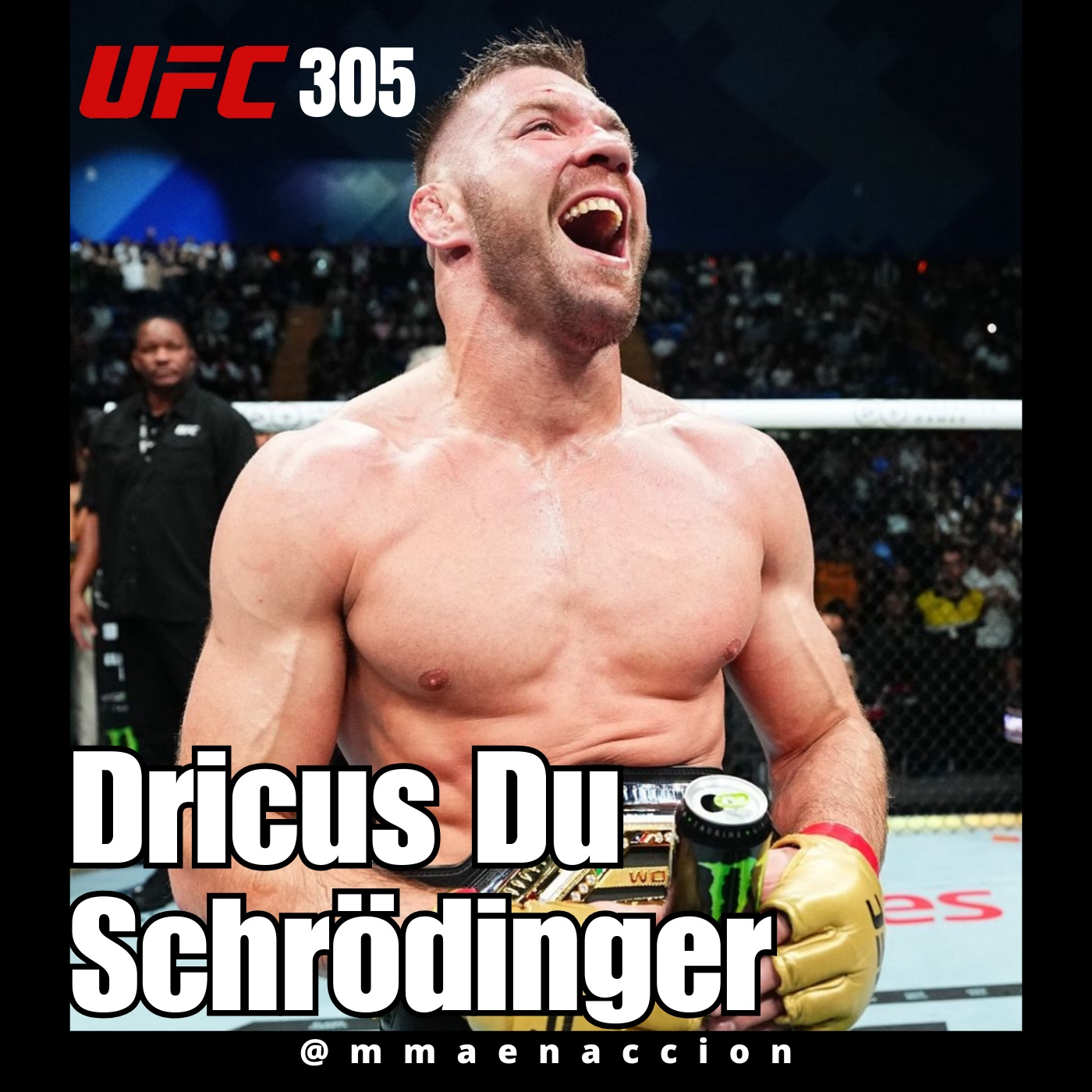 MMA en acción