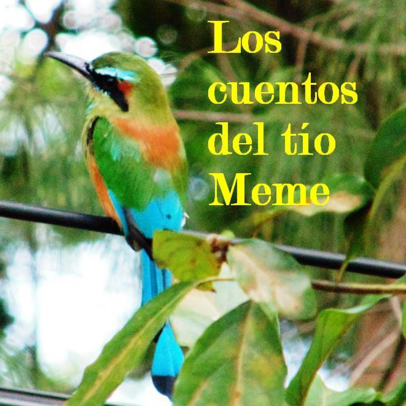 LOS CUENTOS DEL TÍO MEME