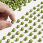 Manías, obsesiones y excentricidades