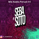 Dj Seba Soto - Set radio Pervan #1