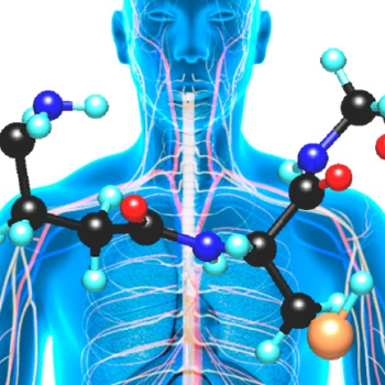 embed image