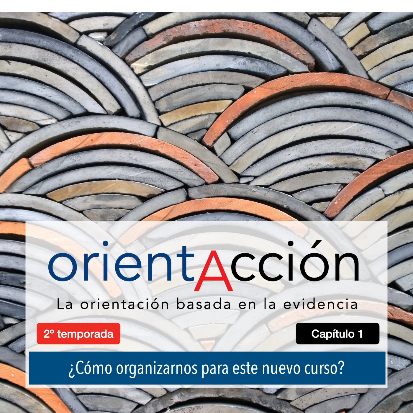 ORIENTACCIÓN. orientación basada en la evidencia
