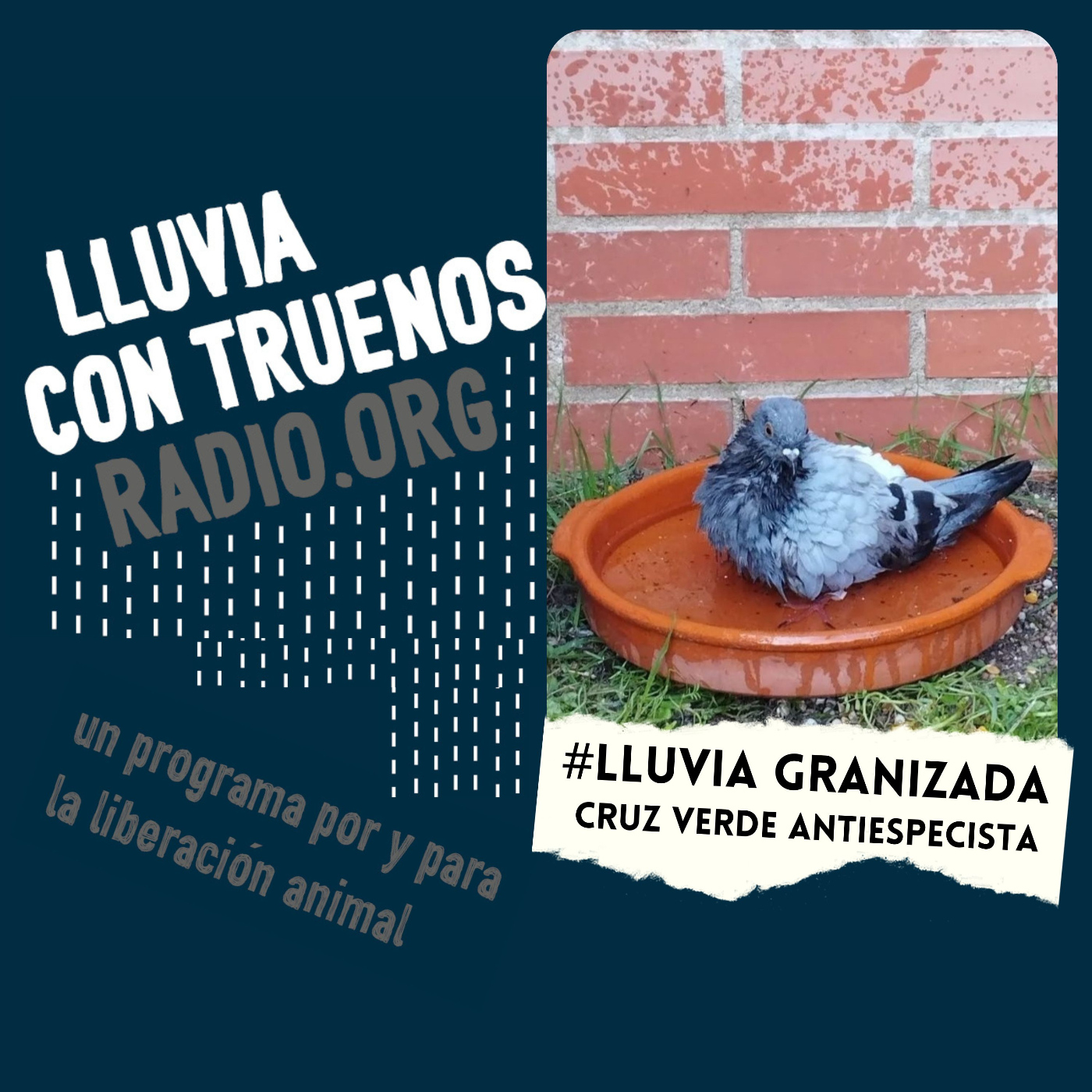 Lluvia con truenos radio