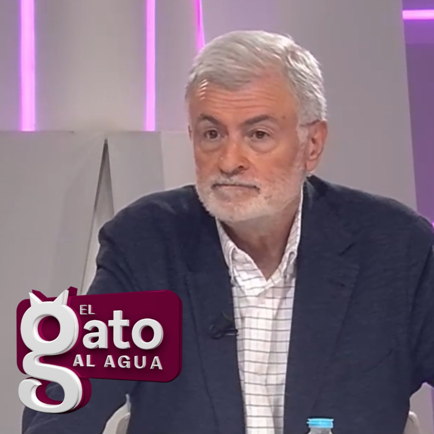 El Gato al agua