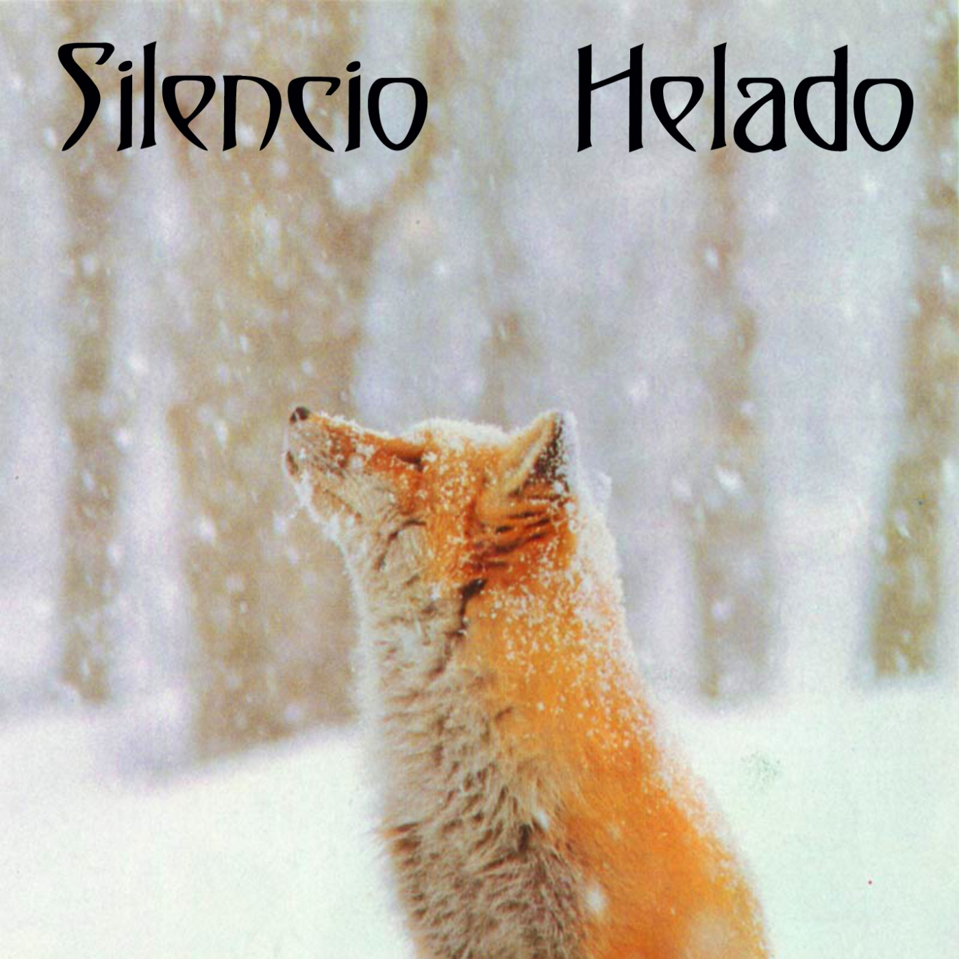 Viento del Norte 24/07/26 episode artwork
