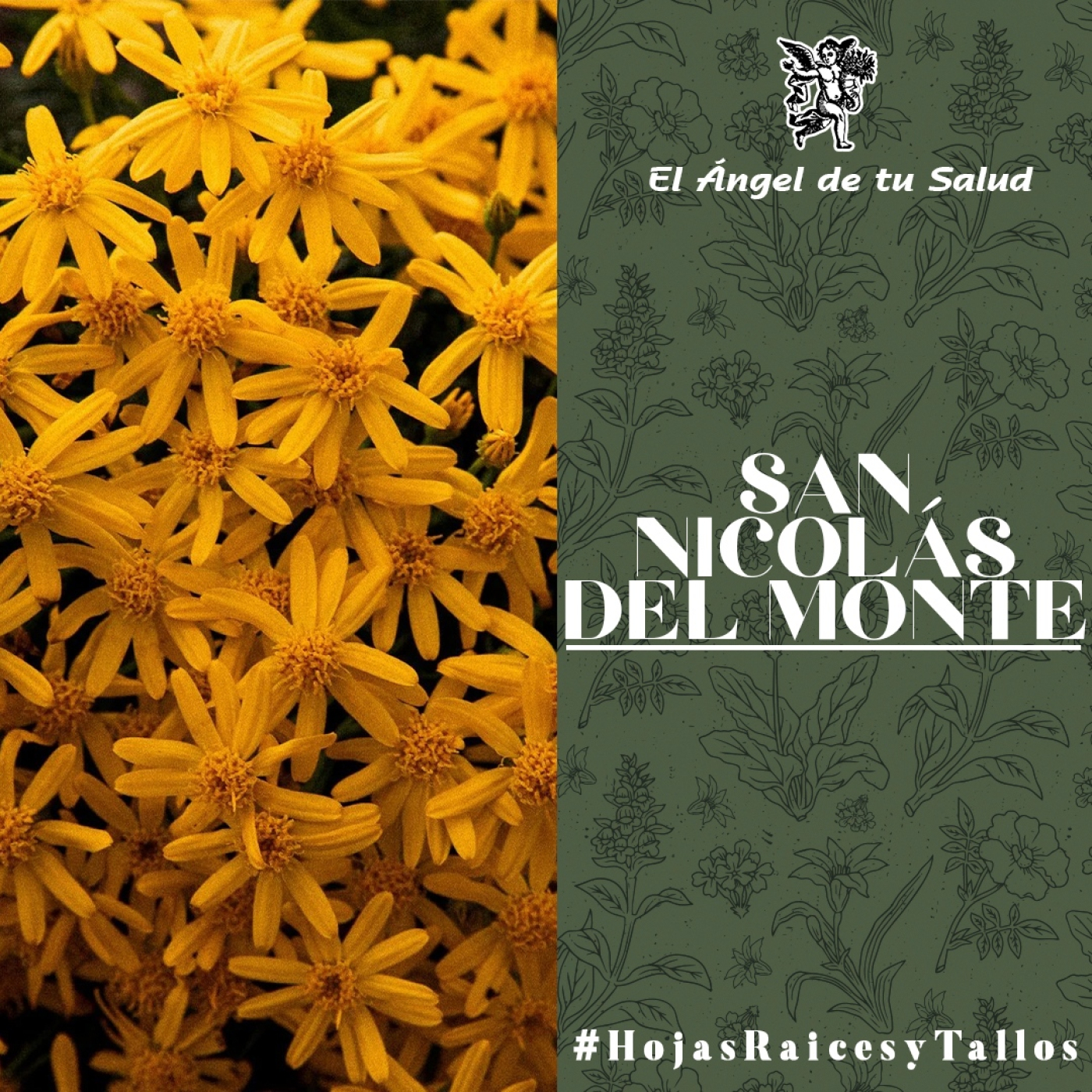 El Ángel de tu Salud - San Nicolás del Monte** episode artwork