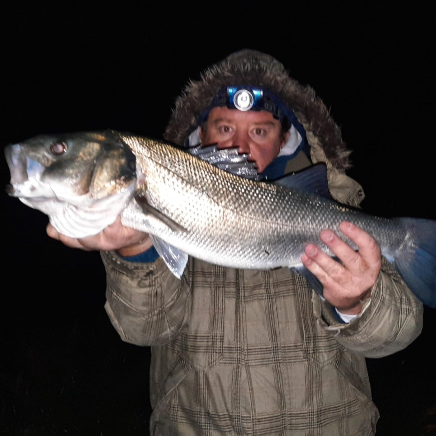 Rio de la Vida pesca