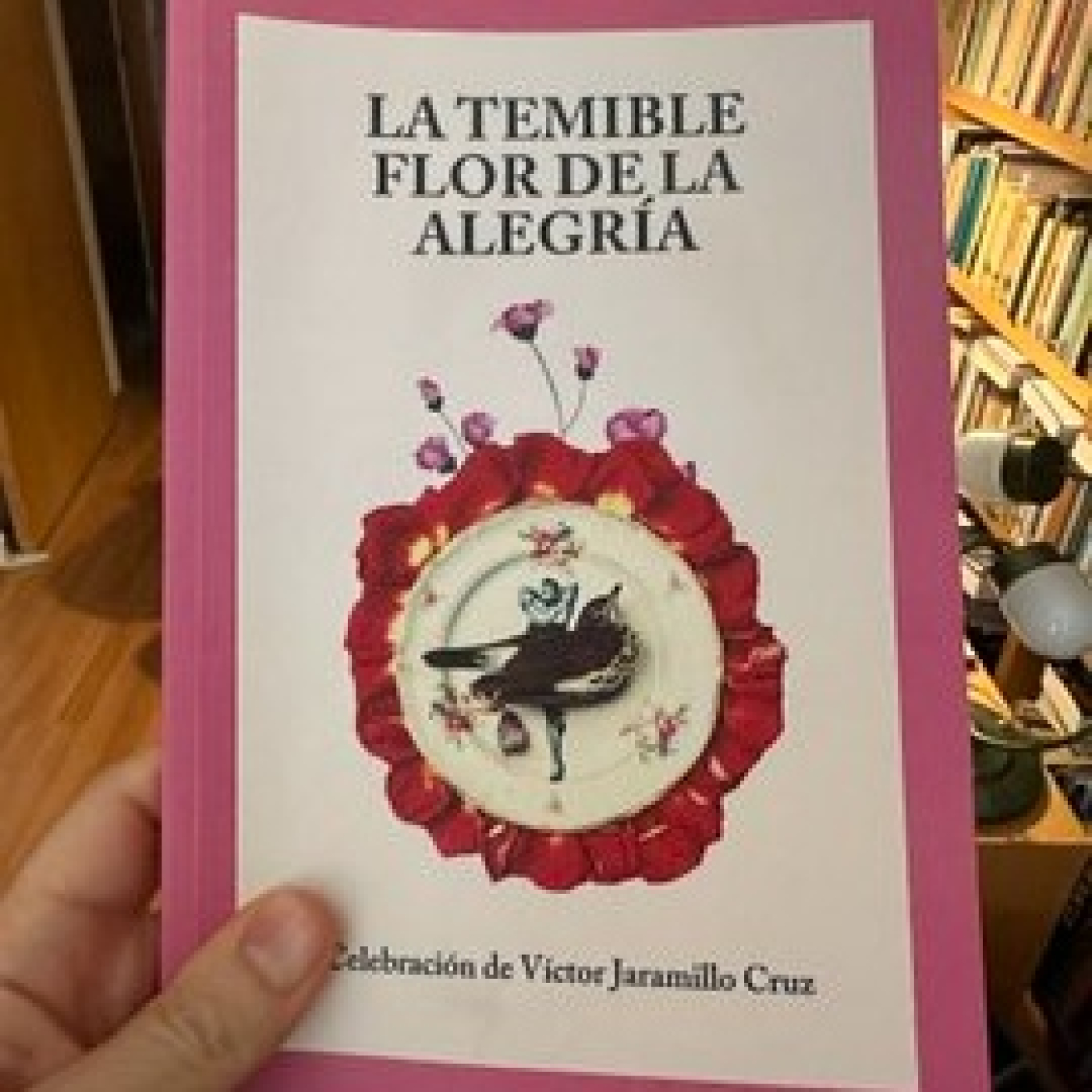 Apiedepágina IMER