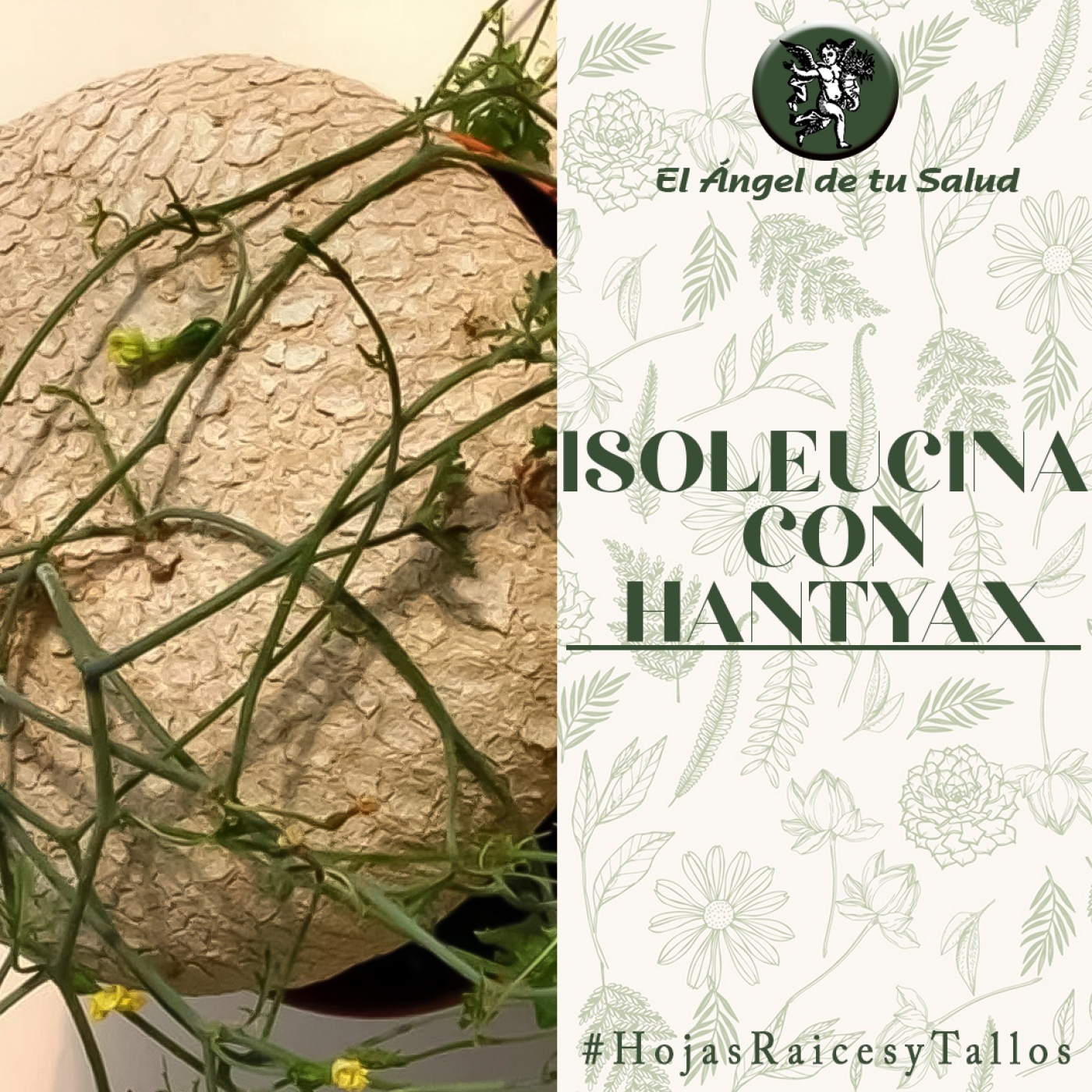 El Ángel de tu Salud - Isoleucina con Hantyax** episode artwork